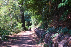 A portion of the Indian Creek trail.