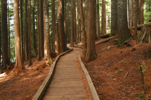 A boardwalk section of the Lost Lake loop trail.