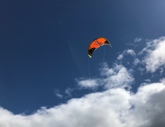 A grownup’s kite in the spring sky.